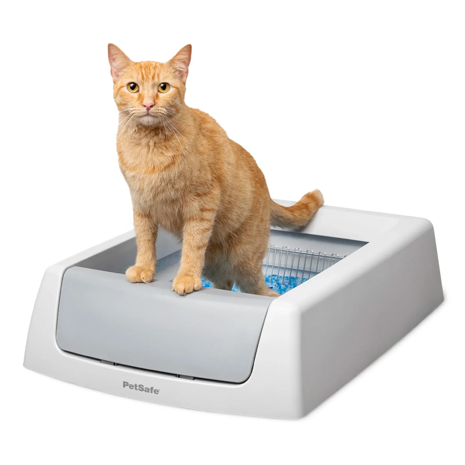 Image of Crystal Litter Box - ScoopFree® Crystal Classic Self-Cleaning