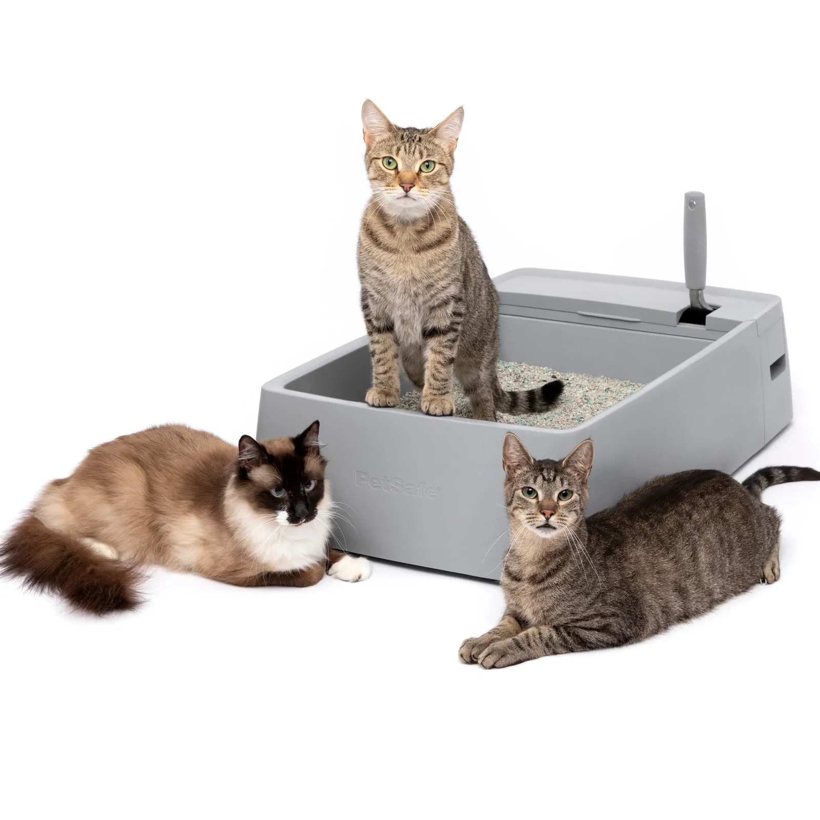 Image of Multi-Cat Litter Box