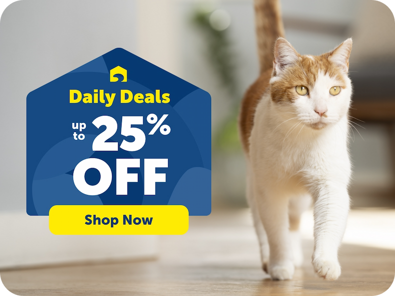 Daily Deals Up to 25% OFF. Shop Now!