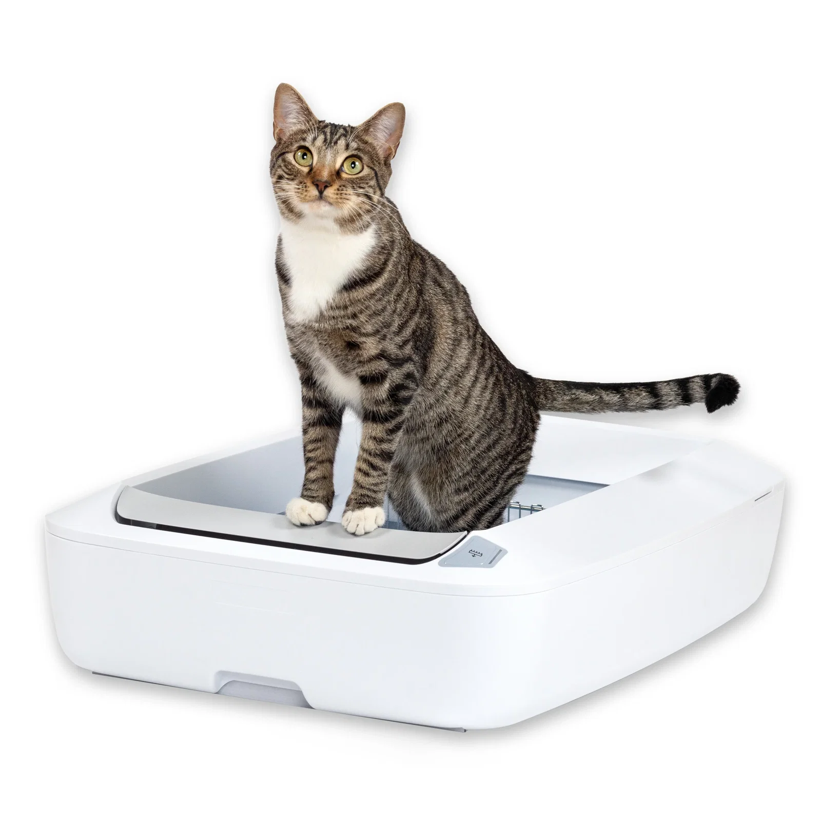 Image of Self-Cleaning Litter Box - ScoopFree® Crystal Plus