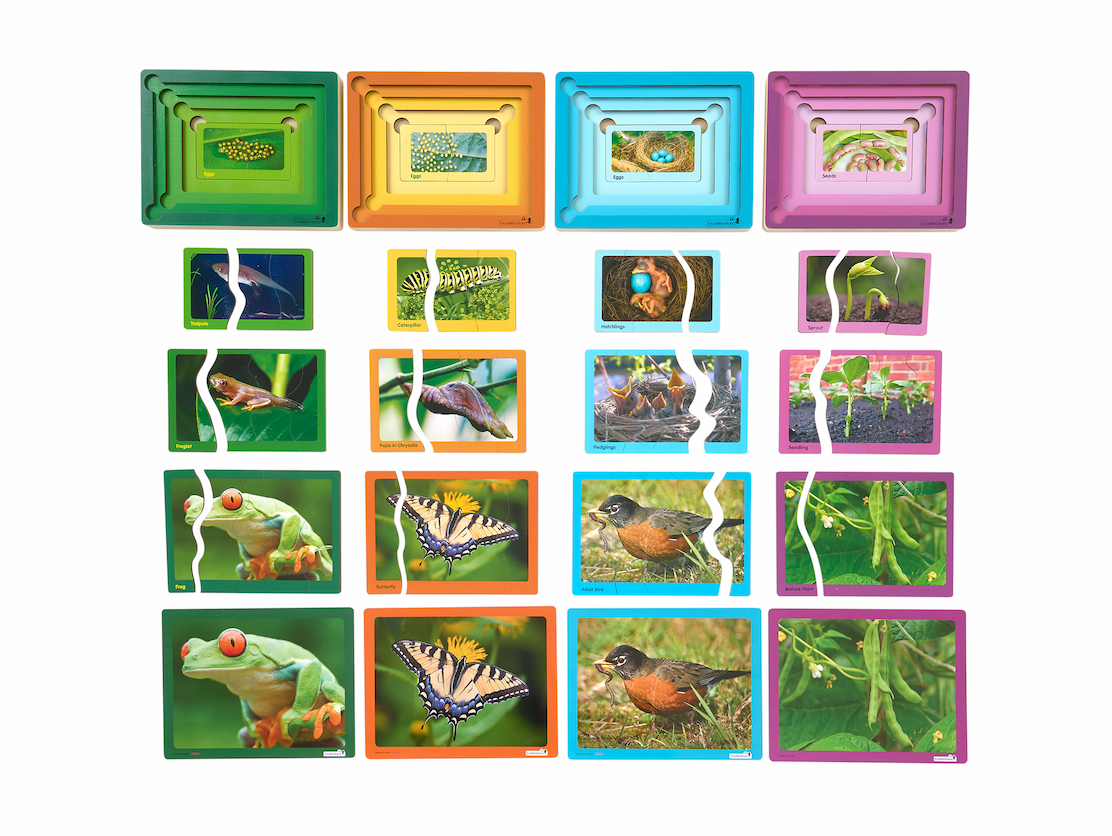 Excellerations® Layered Life Cycle Puzzles - Set of 4
