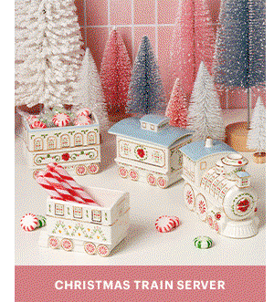 CHRISTMAS TRAIN SERVER