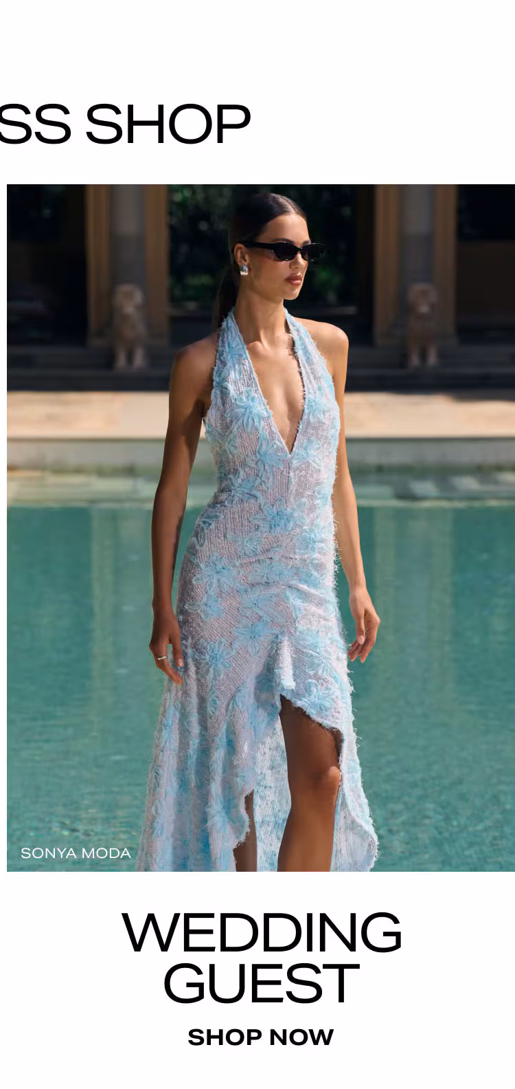 Shop Wedding Guest