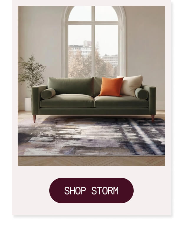 SHOP STORM