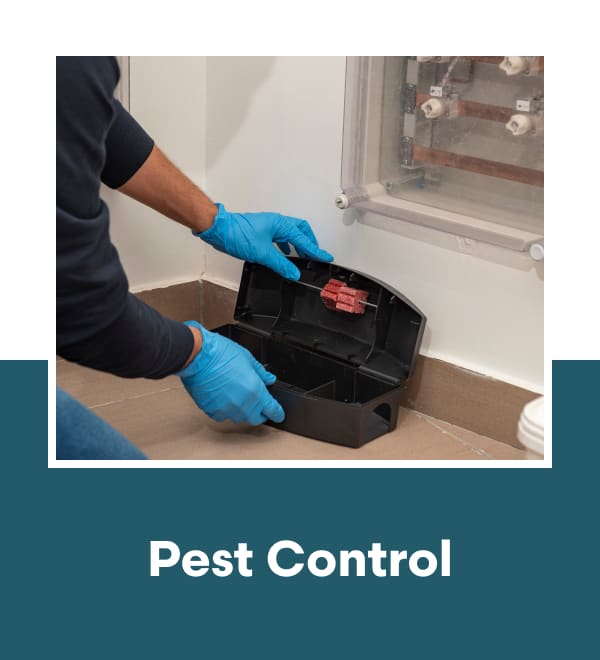 Pest Control