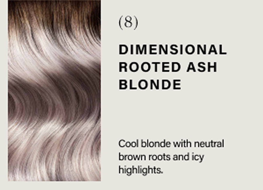 Dimensional rooted ash bronde 