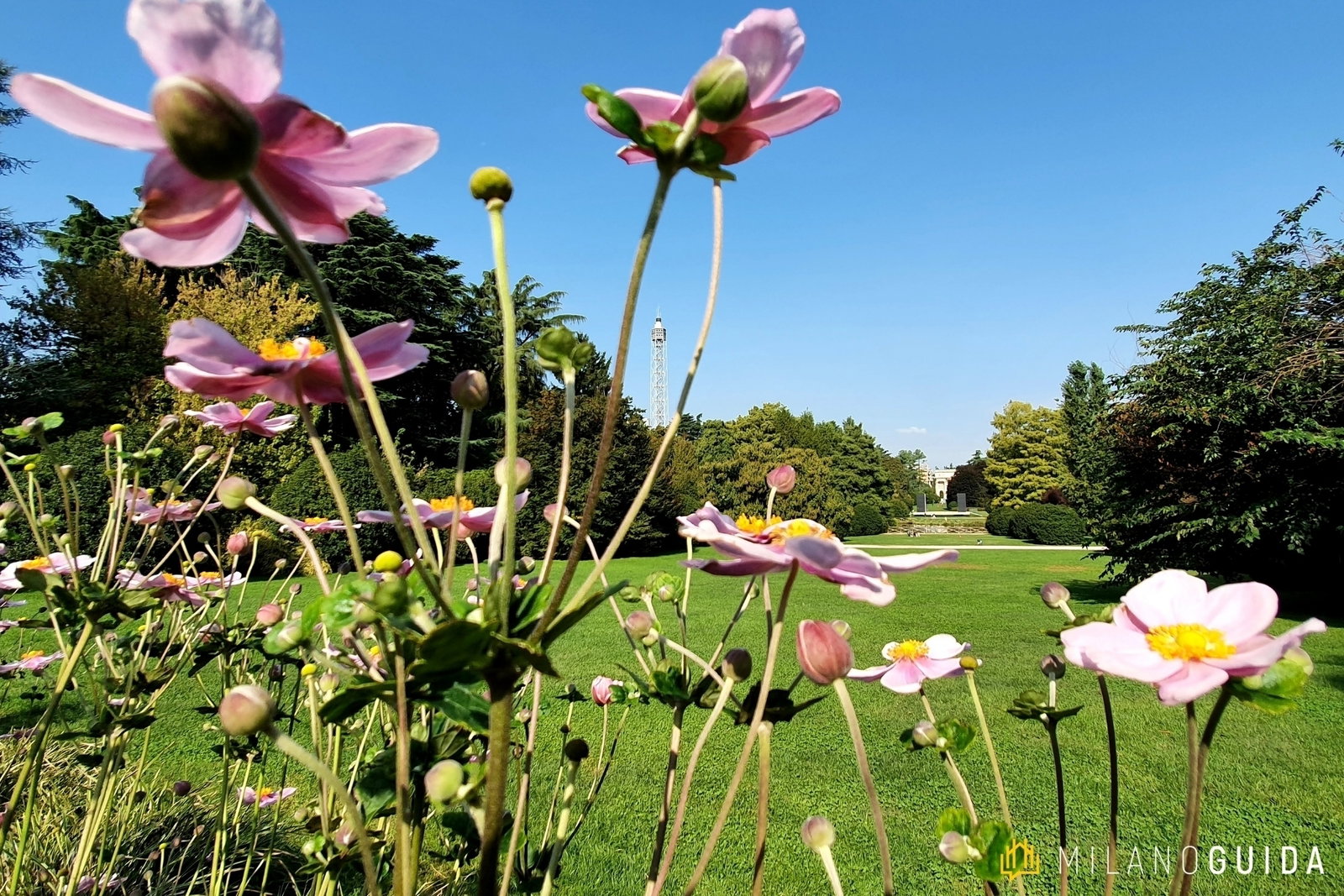 Parco Sempione: arte, architettura e monumenti nascosti