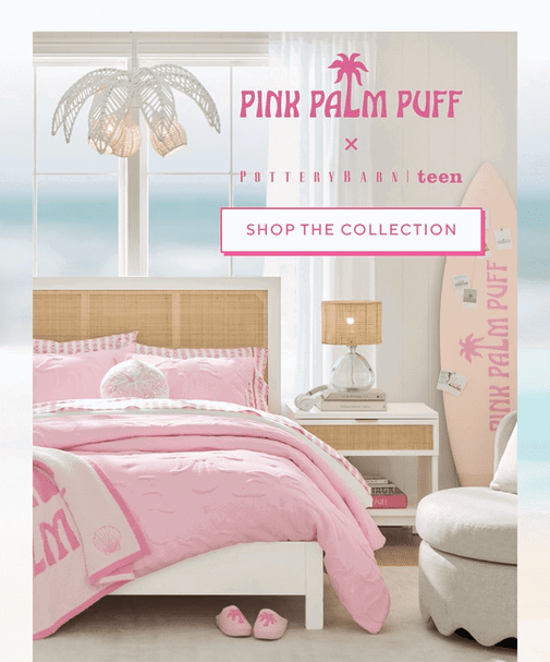 Pink palm puff x pottery barn teen