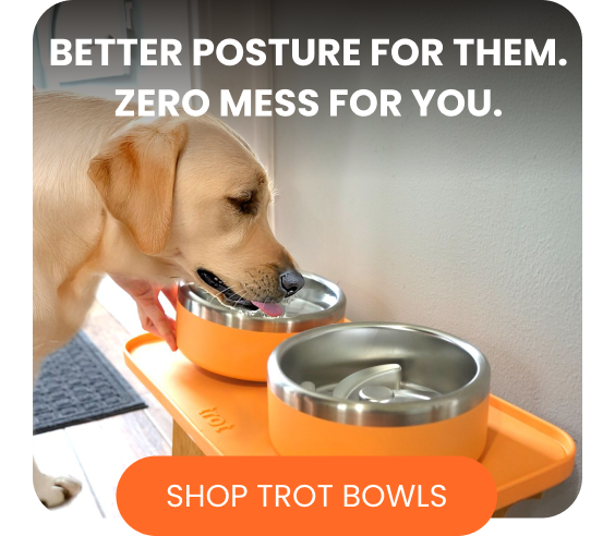 Better posture for them. Zero mess for you.