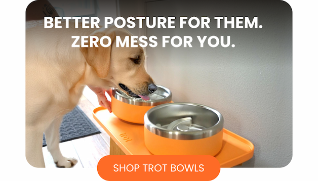 Better posture for them. Zero mess for you.