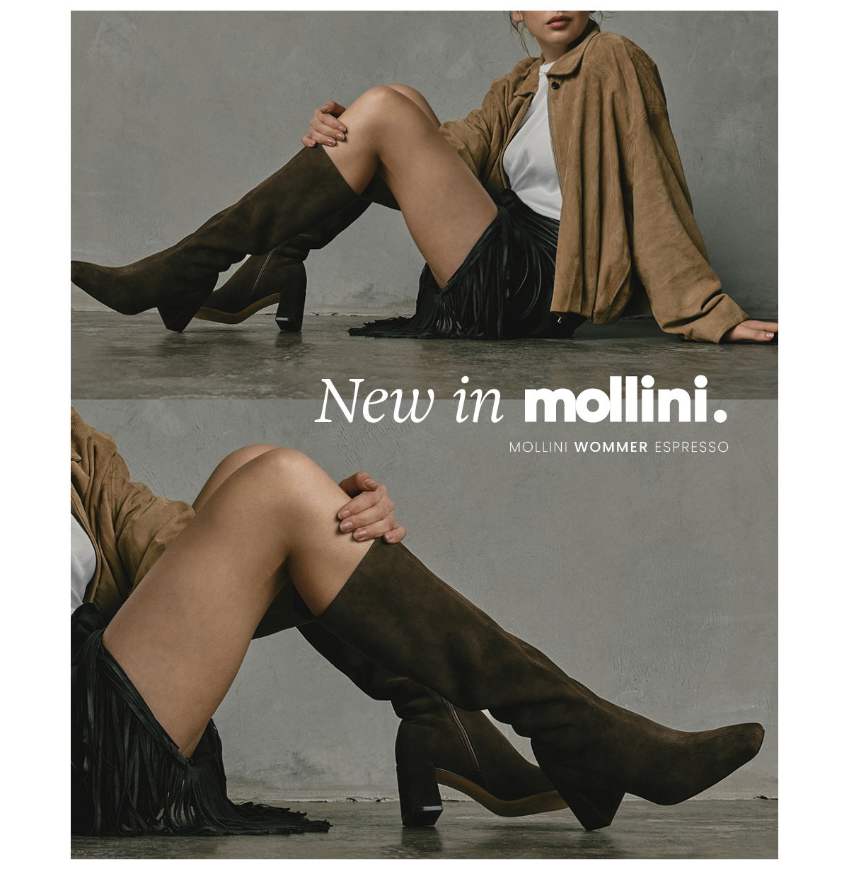 NEW IN MOLLINI