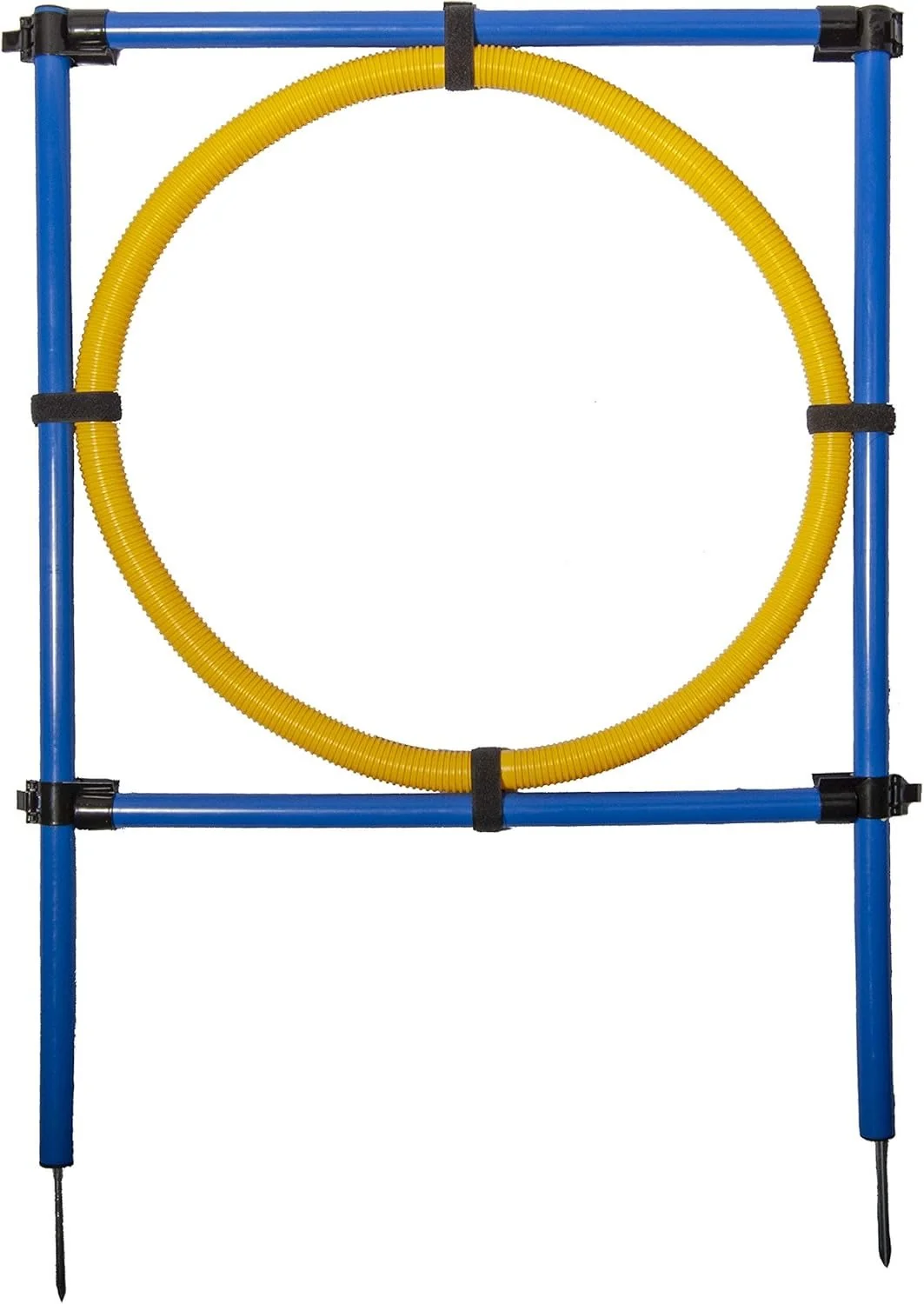 Image of Agility Hoop Jump for Dogs