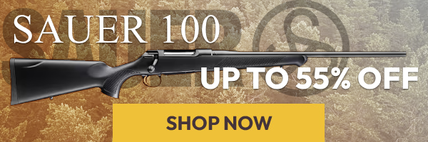 Sauer 100