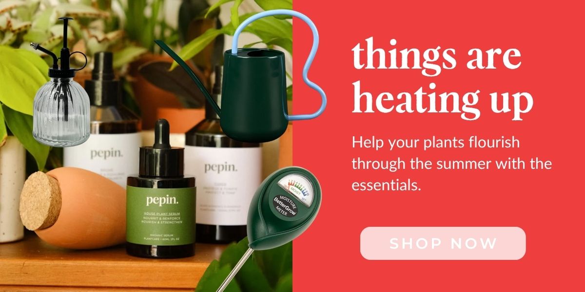 plant care accessories