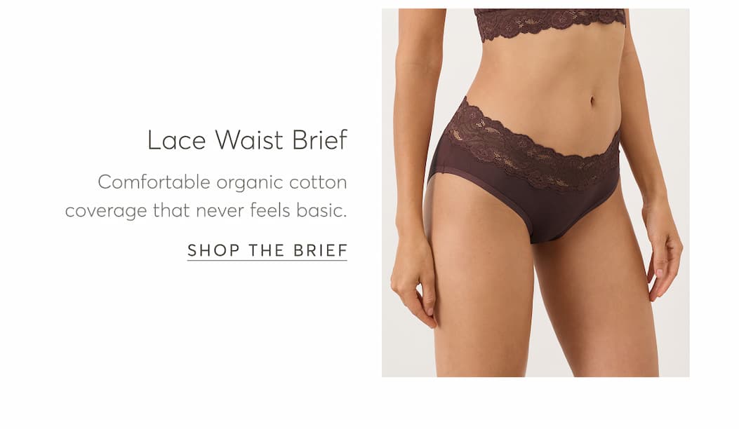 Lace Waist Brief | Shop The Brief