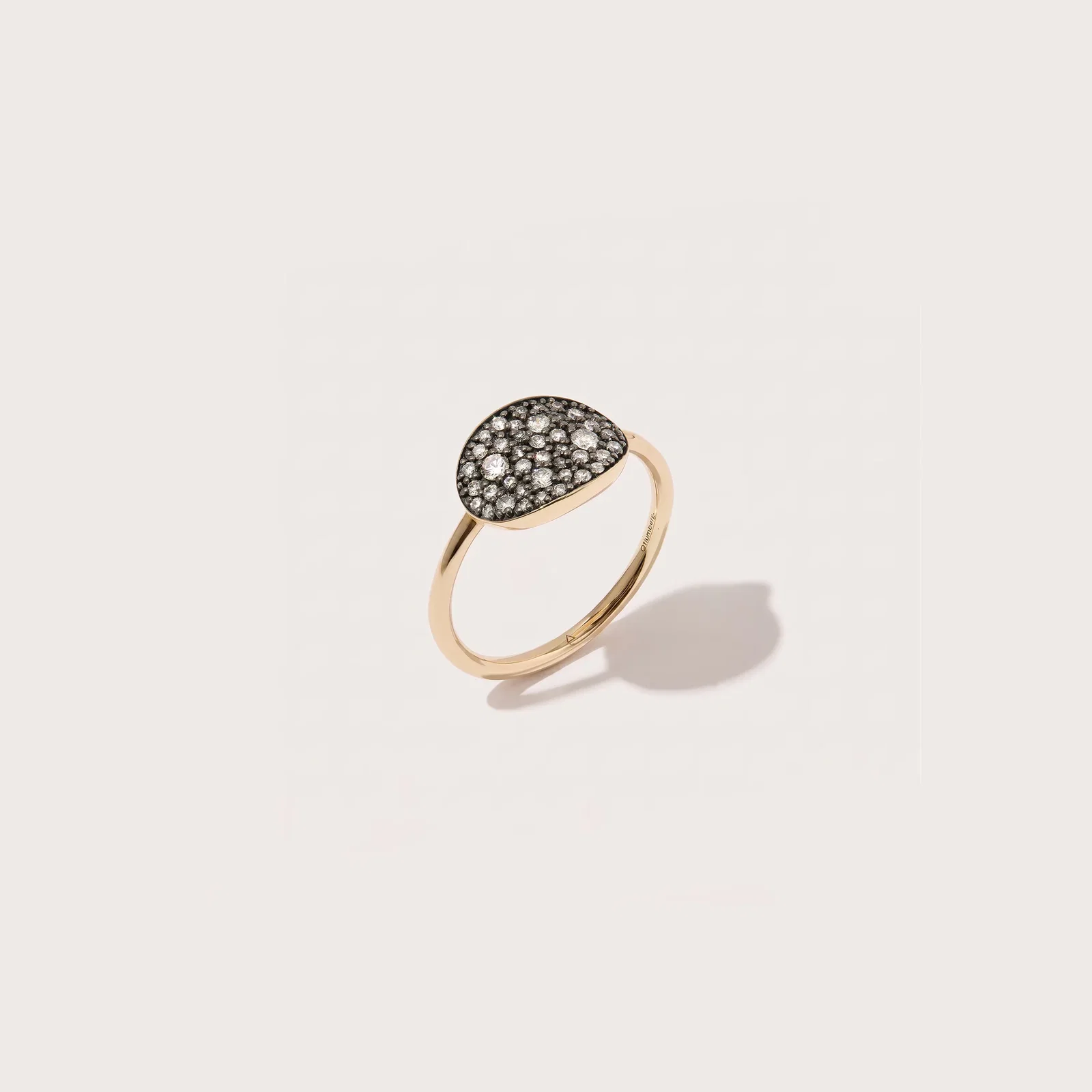 Image of Midnight Diamond Signet Ring (Pre-Order)
