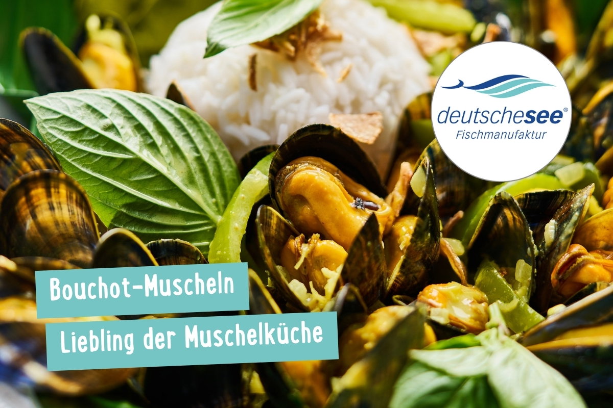 Miesmuschel-Rezepte