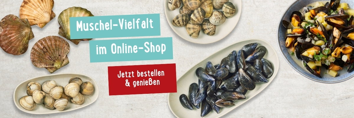 Muschelvielfalt im Online-Shop