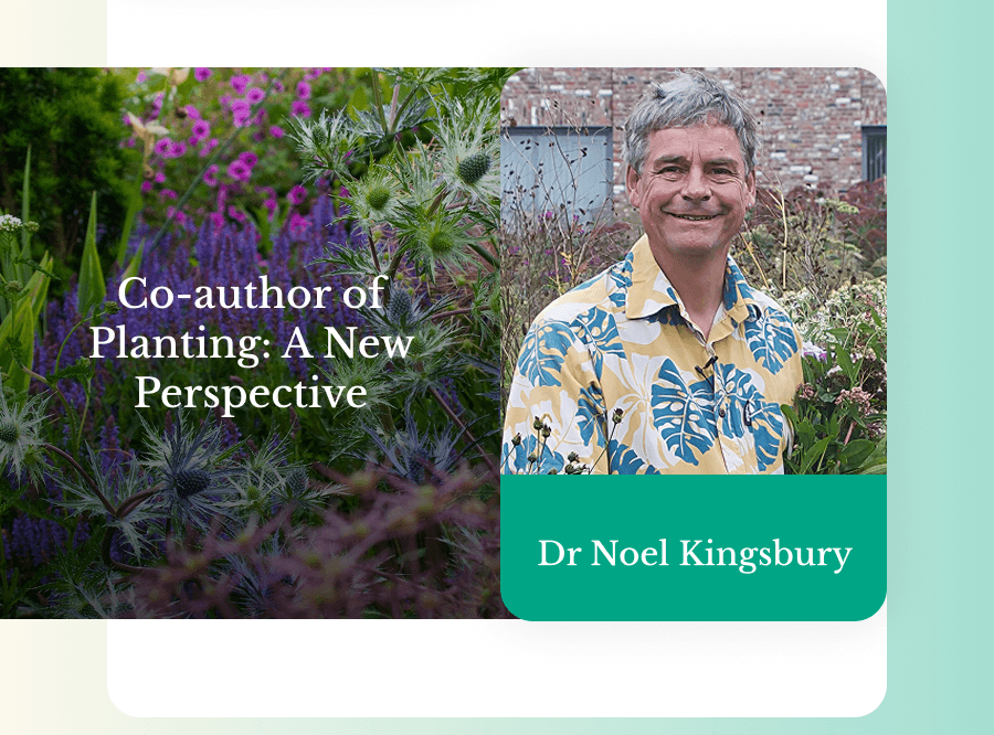 Dr Noel Kingsbury