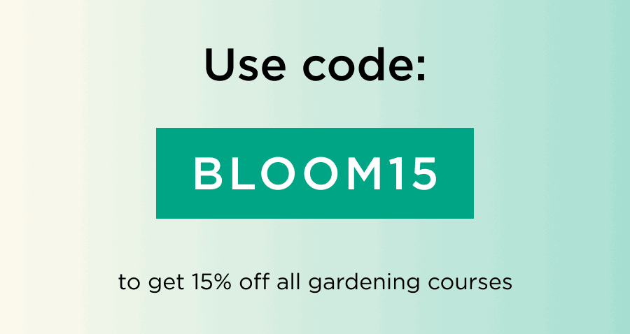 BLOOM15