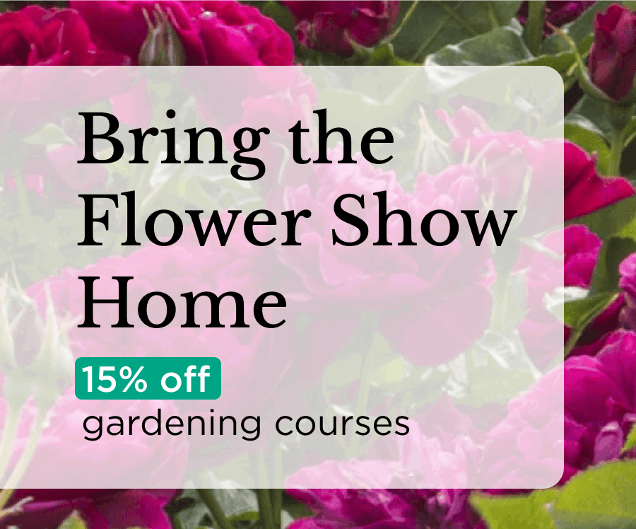 Bring the Flower Show Home