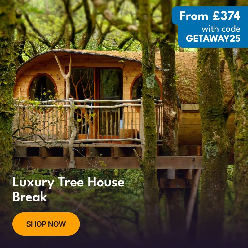 Luxury Tree House Break
