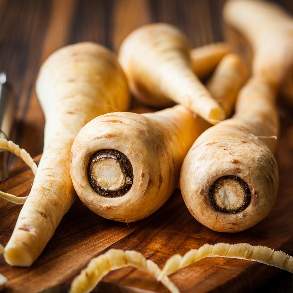 Parsnip 'Panorama'