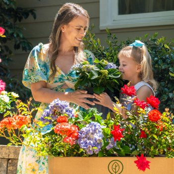 Plants Family Grown and Shipped to Your Home