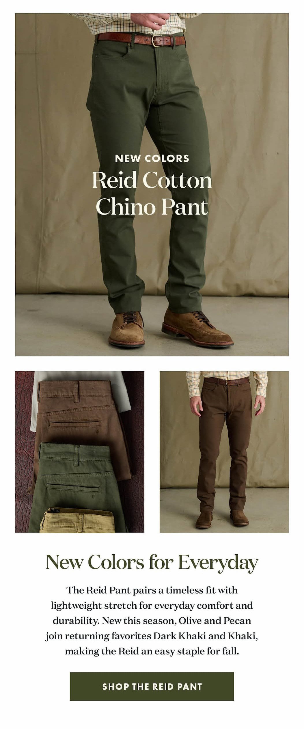 Reid Cotton Chino Pant - New Colors