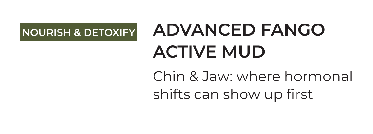 Nourish & Detoxify | Advanced Fango Active Mud | Chin & Jaw: where hormonal shifts can show up first