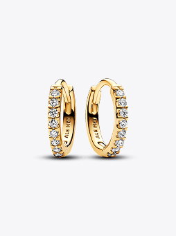 Sparkling Mini Hoop Earring