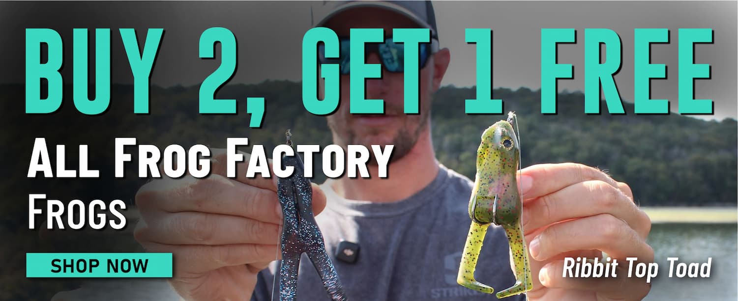 Buy 2 Get 1 Free  All Frog Factory Frogs Shop Now
