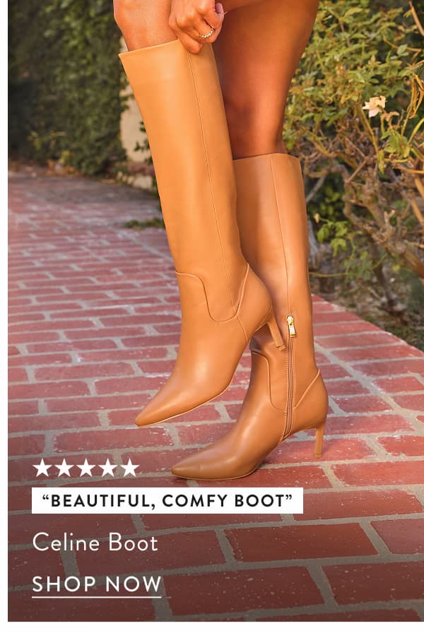 Celine Knee High Leather Boots