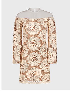 Neutral Color Woven Floral Lace Dress With Transparent Yoke