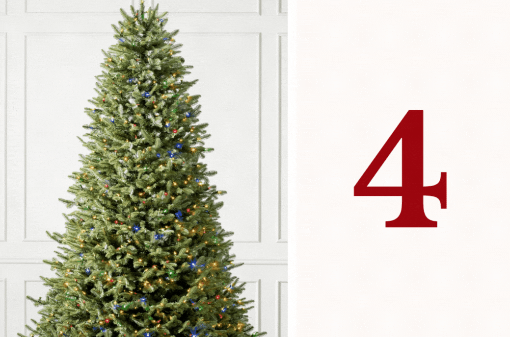 4 - Balsam Trees on Sale