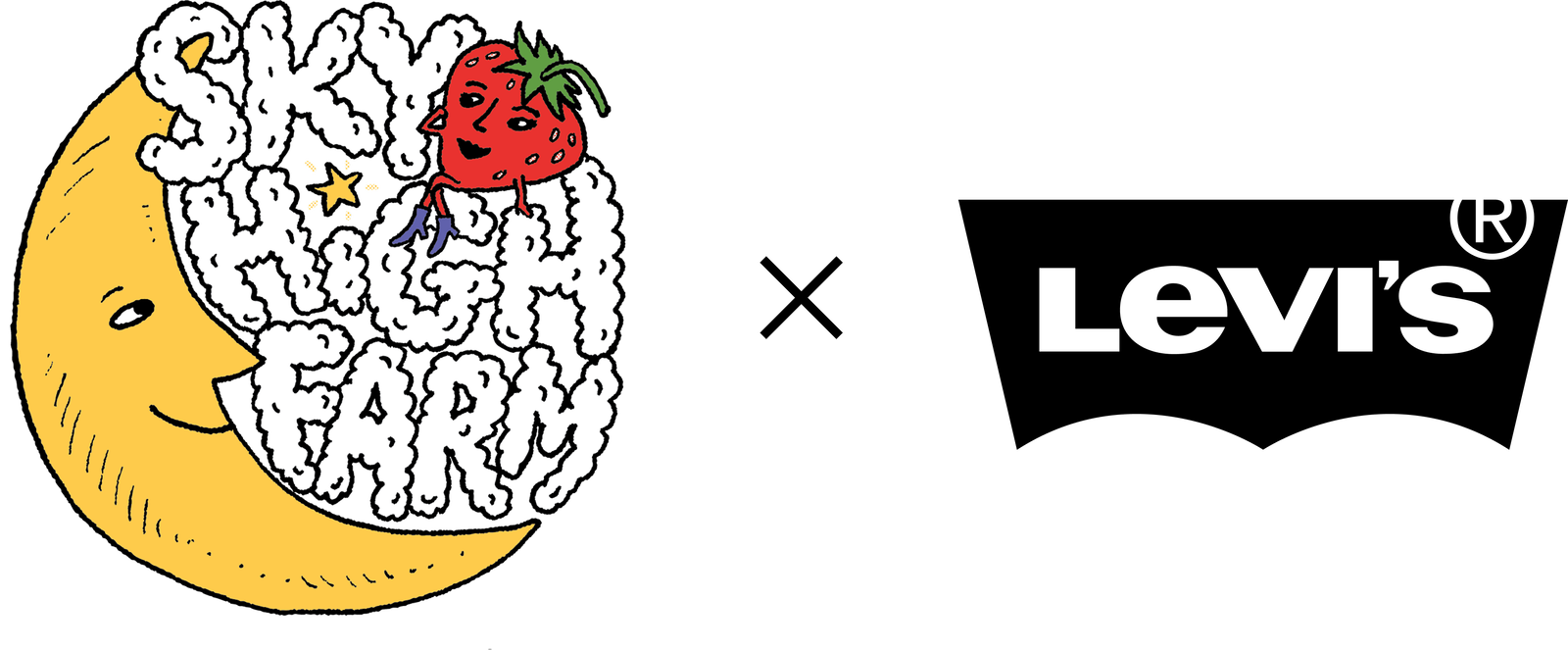 SKY HIGH FARM GOODS X LEVIS