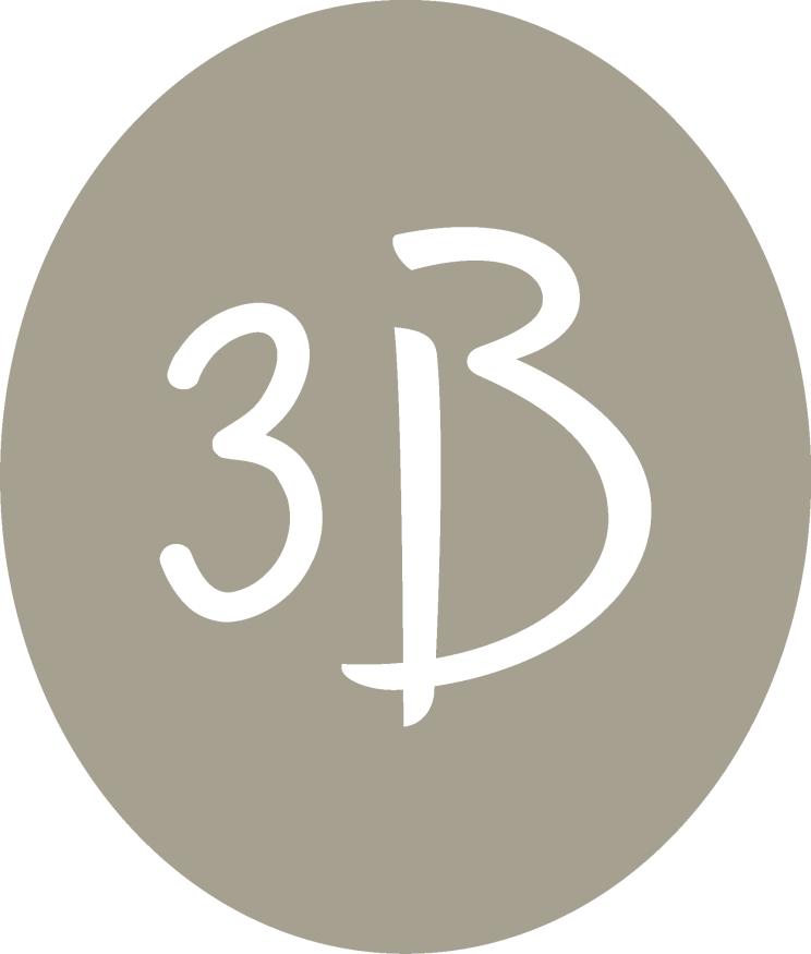 3B