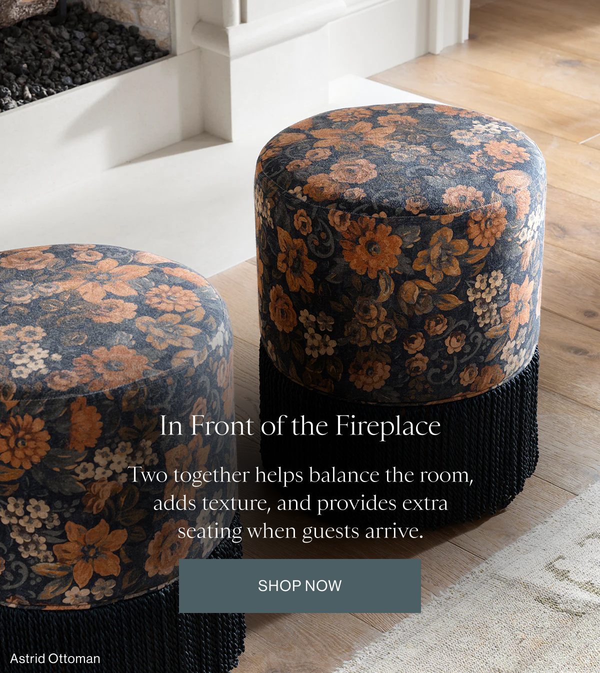 In Front of the Fireplace
