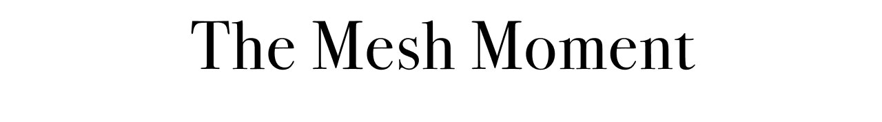 THE MESH MOMENT