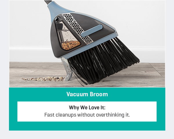 Vacuum Broom