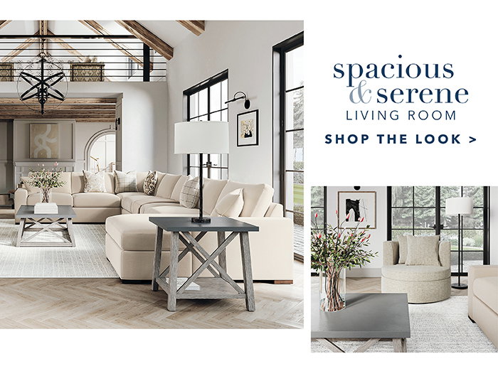 Spacious & Serene Living Room | Shop the look >