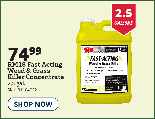 rm18 concentrate