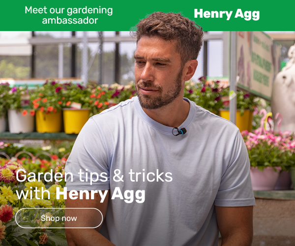 Garden tips & tricks with Henry Agg