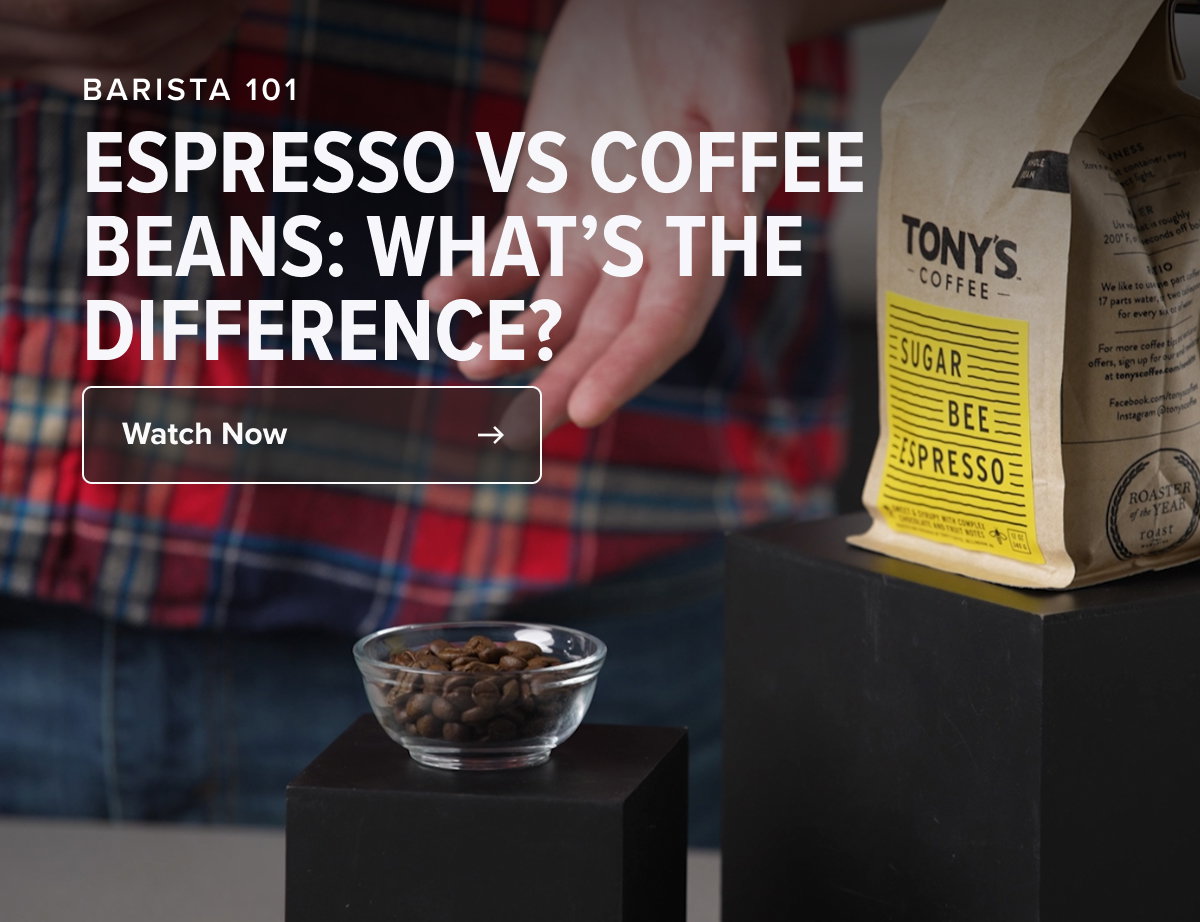 BARISTA 101 ESPRESSO VS COFFEE BEANS: WHAT’S THE DIFFERENCE? Watch Now
