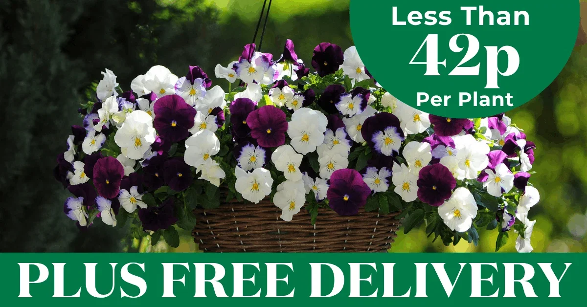 Less Than 42p Per Plant + Free Delivery
