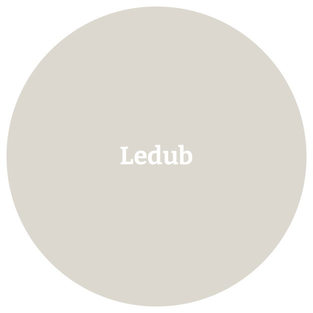 Ledub overhemden