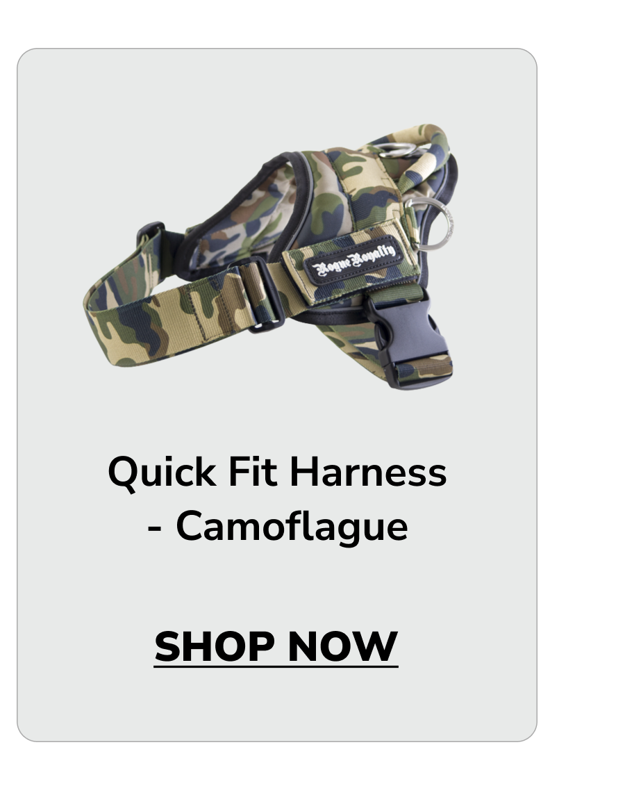Camo Quickfit Harness