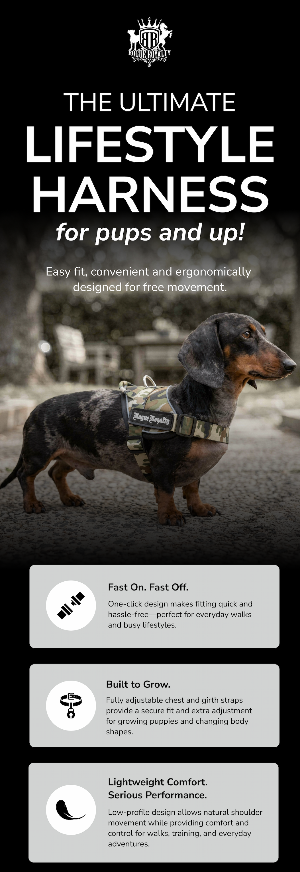 The Ultimate Lifestyle Harness for pups and up!