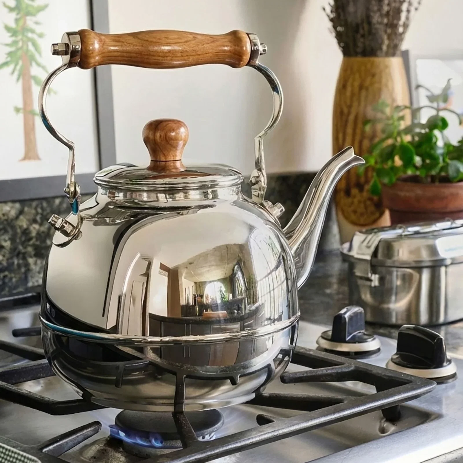 Image of Tea Kettle, Steel