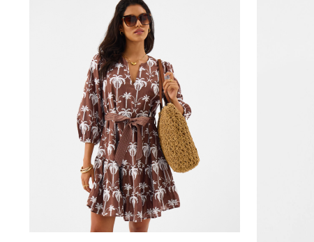 Palm Embroidered Mini Dress Brown